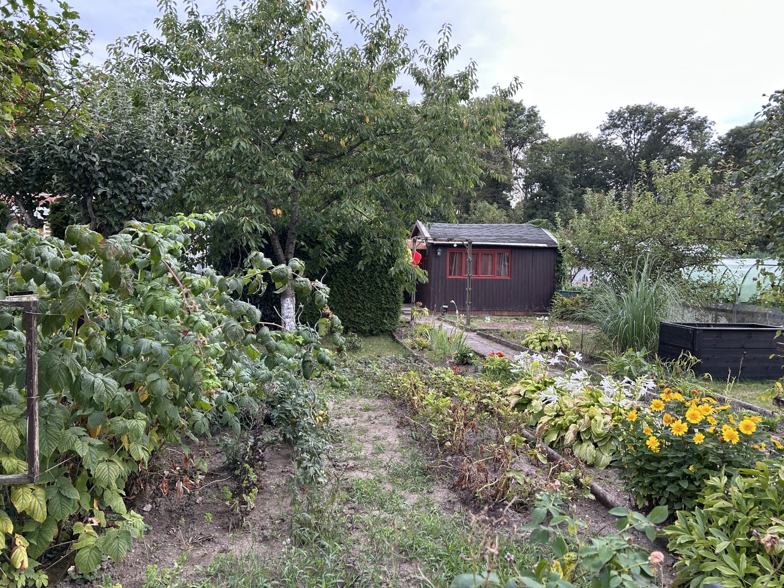 gemütlicher Kleingarten abzugeben